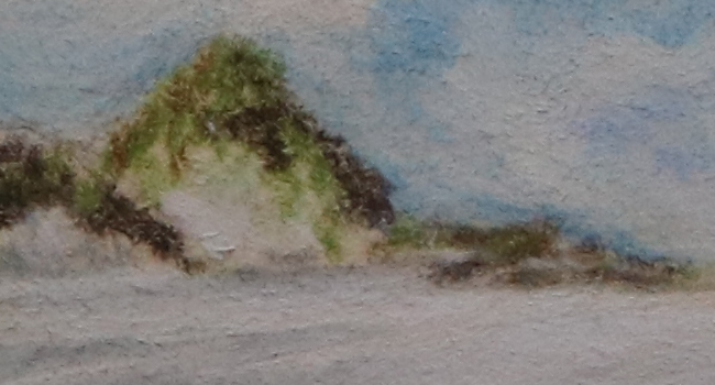Borkumer Dünen